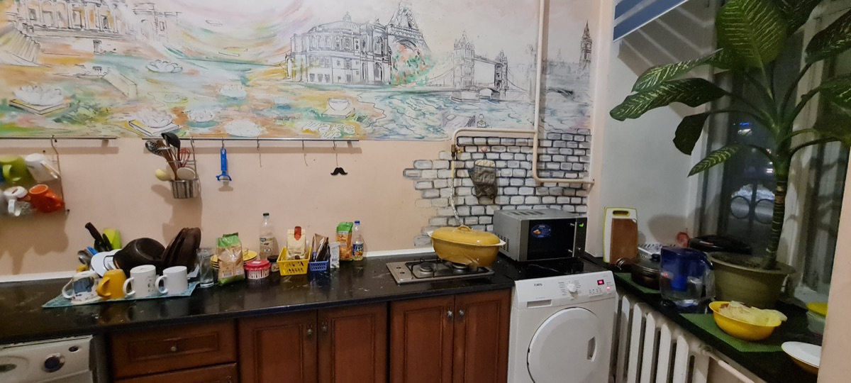 Dja Hostel kitchen — full view with mural
